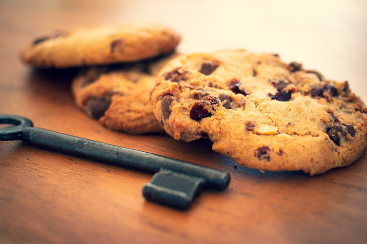 Linee Guida del Garante per l’utilizzo dei cookie